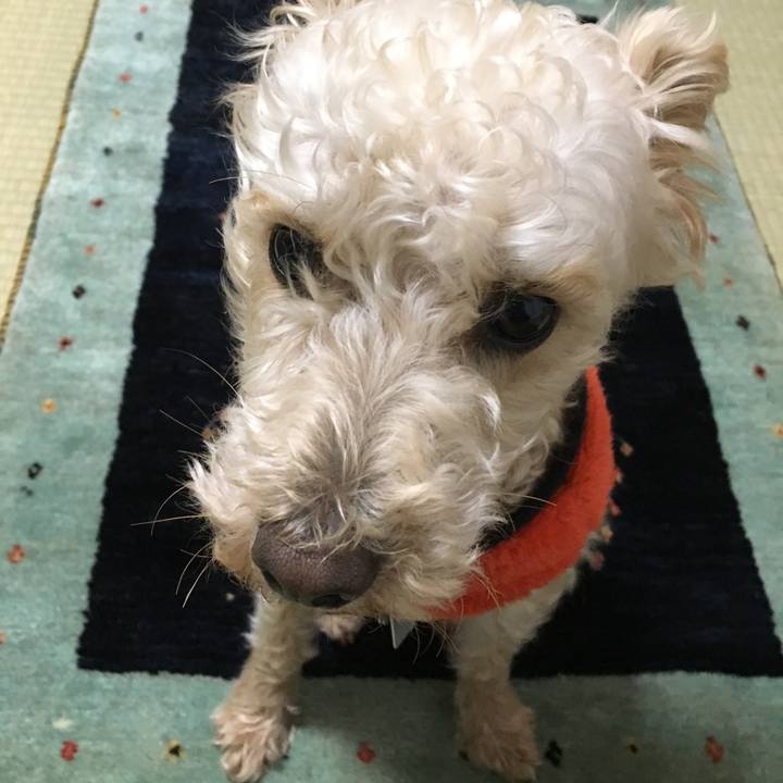 A1858c6d 4277 48b8 a902 1848d4ad2a77