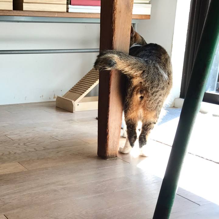 A1862dab 96ff 44ff b40a 0ae717ea732a