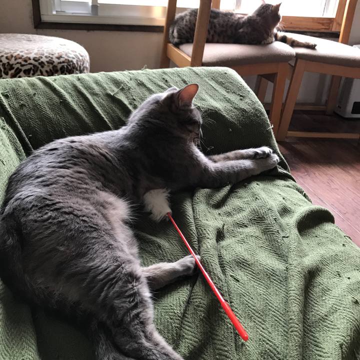 A186e0f1 3fd8 4a1b 82a0 07ffa8e7b616