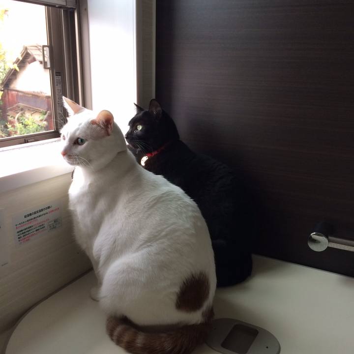 A1875ddf 8094 4655 a6e9 853c12e5d572