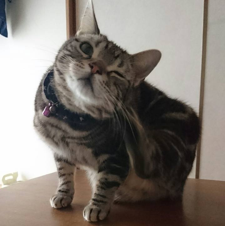 A187a6fd e78f 48bd 849f c28ecaf0c0dd