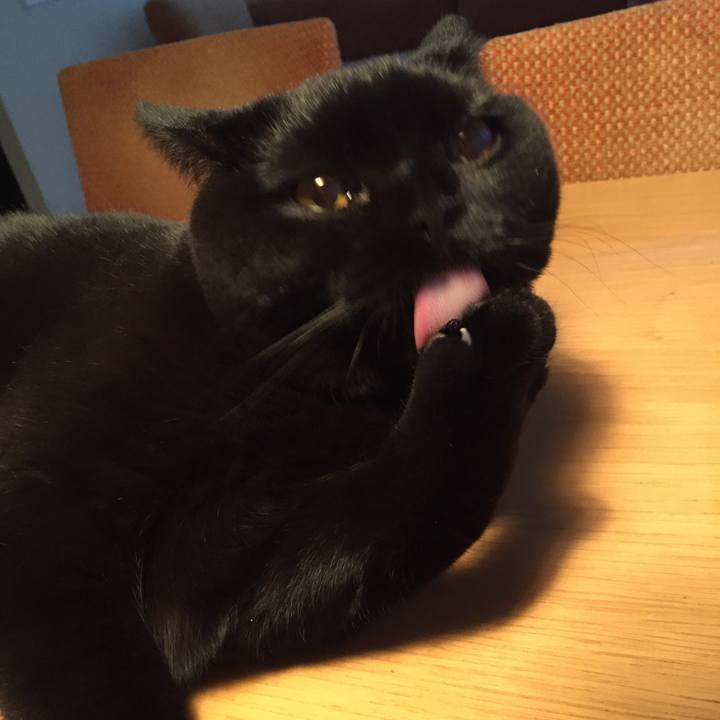 A1892fb5 a5de 4e98 8270 560e3d055343