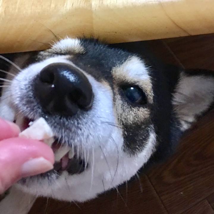 A1899481 f585 40a4 afd8 810d7dfcd6d0