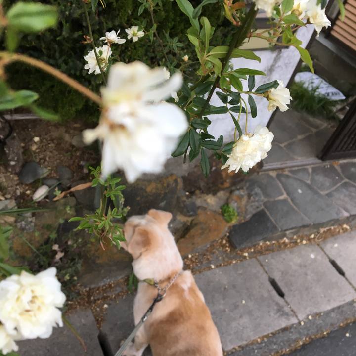 A189d5eb 088e 4e20 9add f04d62fe6080