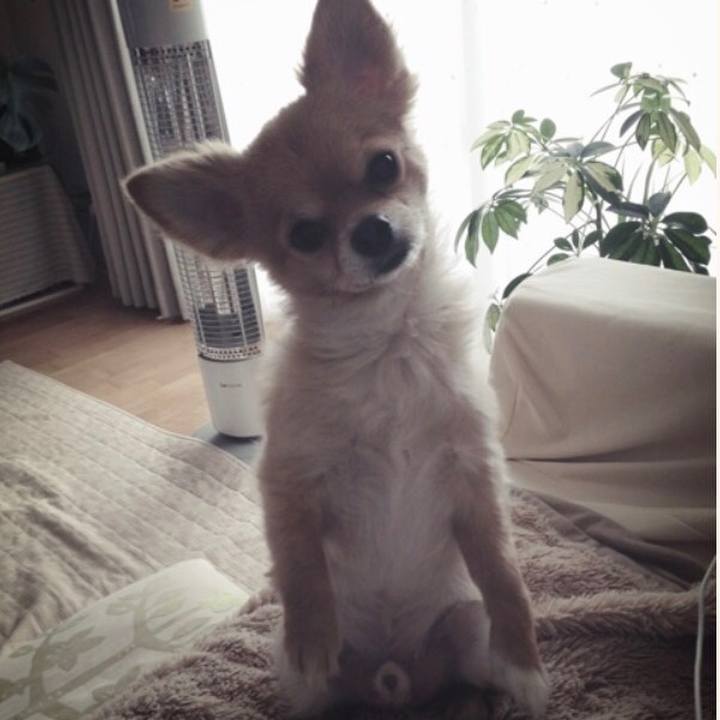 A18b4399 ec9b 447f 992b 07602bea8eb3