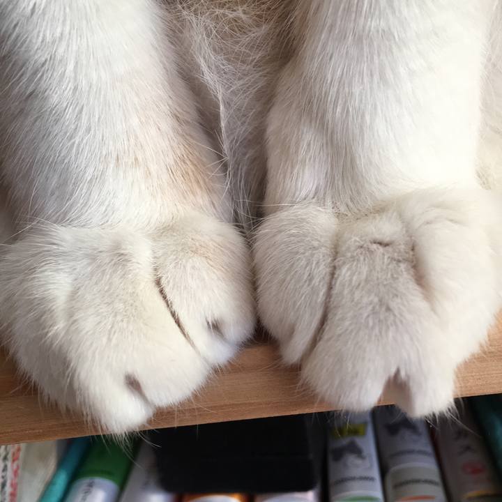 A18b930a 6892 40e5 b2f9 1e170ef607ac