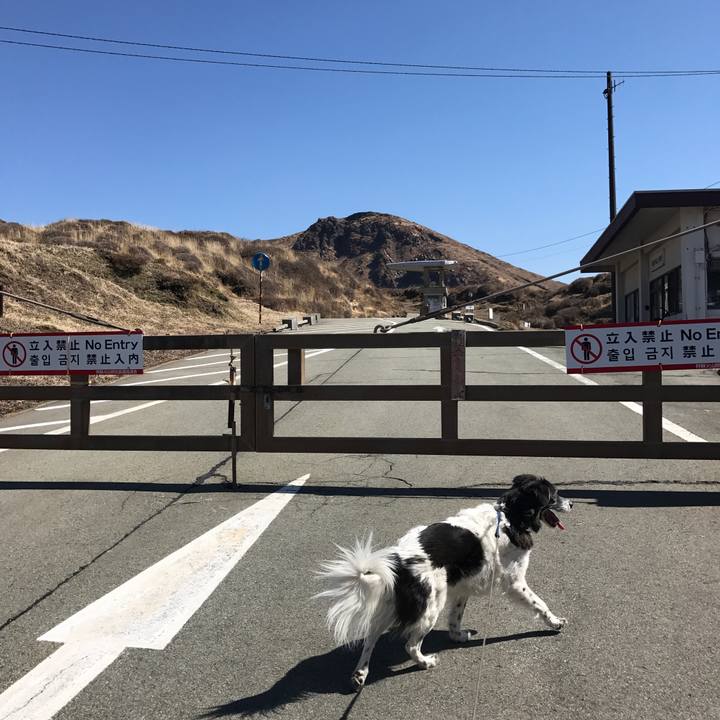 A18bd33a f332 4ea9 994e aec909188d29