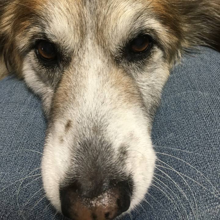 A18bd899 258a 4b32 a62e 31ca42fd87a9