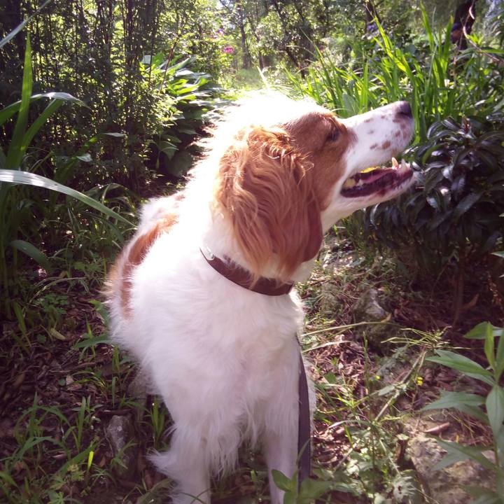 A18bddb3 62f4 4332 bbc1 7de2e8876222