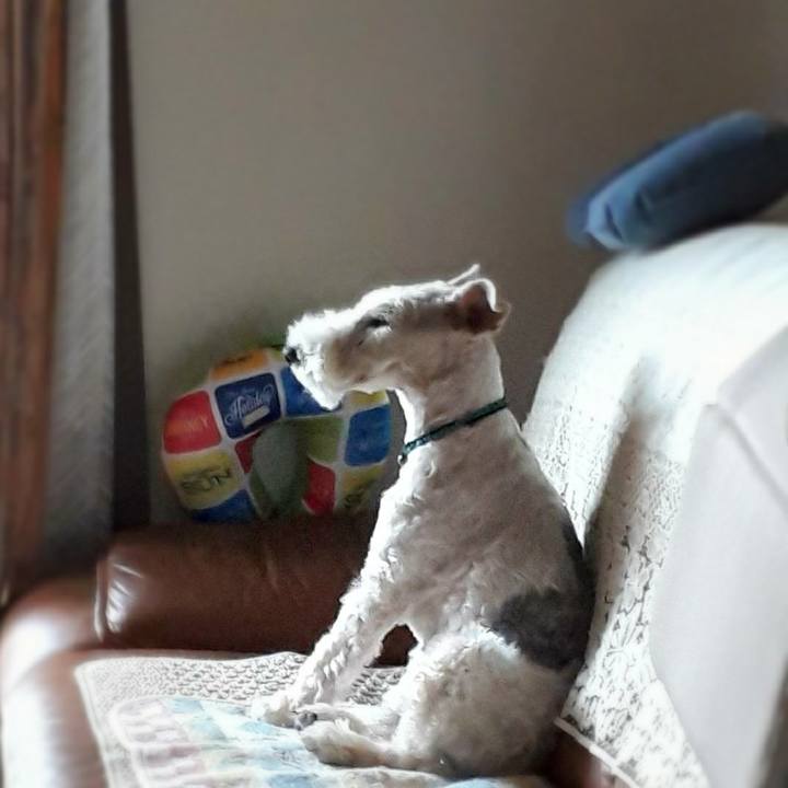 A18be483 91ed 43a8 9d22 d1f5bae2b16c