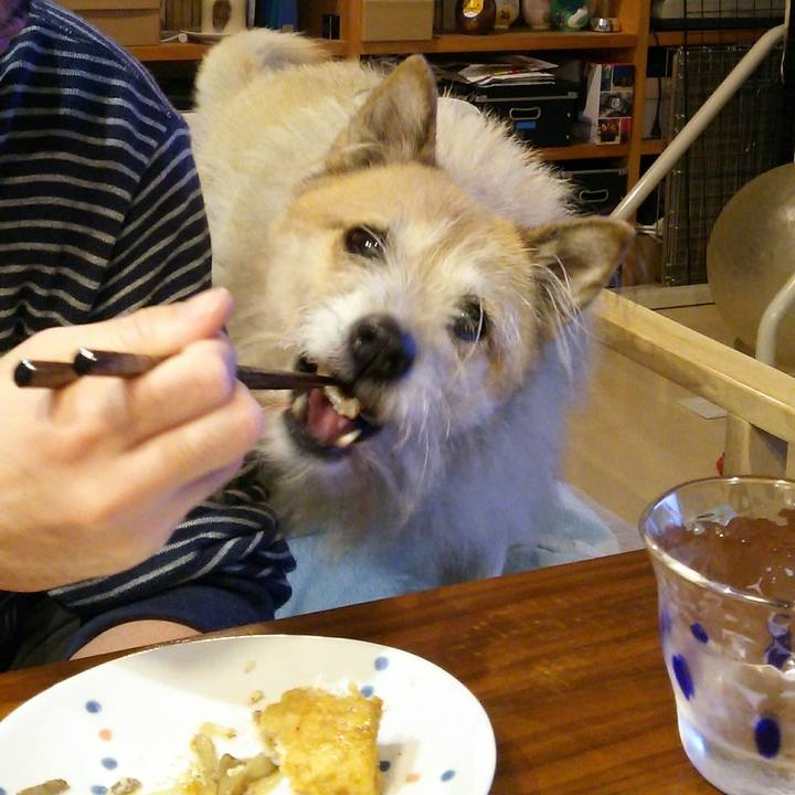 A18c5d3f 93aa 4ef6 bcf6 3e4296f6463b