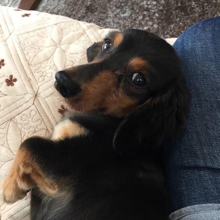 A18cbf65 6499 4314 8a12 b941ad0de95b