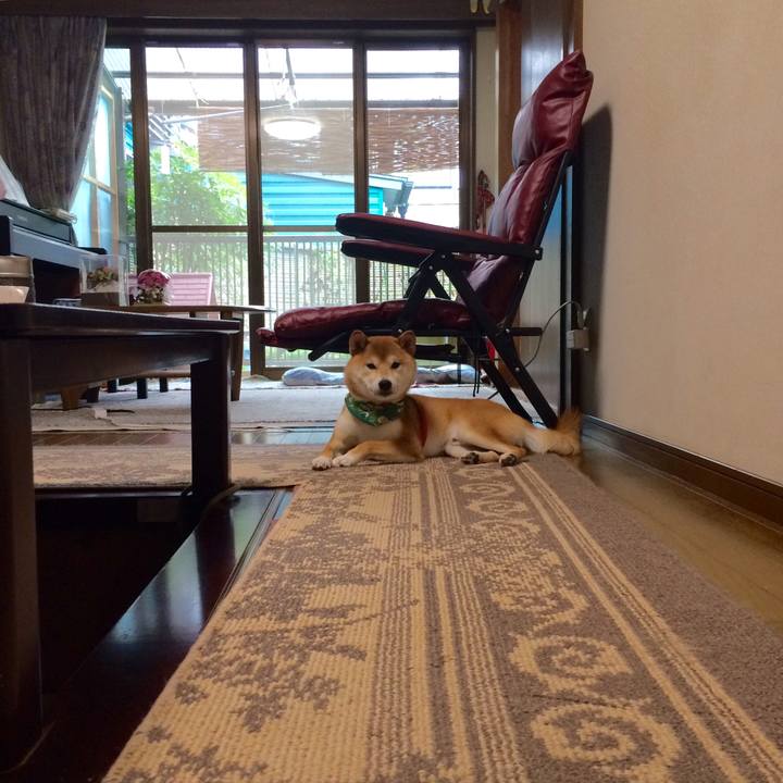 A18dd01e e8f6 4a0a 9e71 c5d283e73a3c