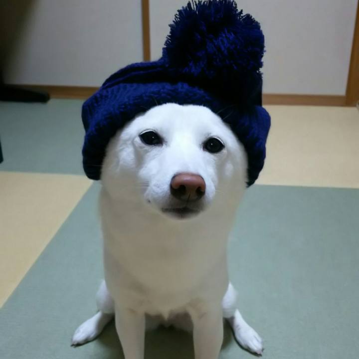 A18e217f ec4d 4635 b9c9 ada61f0c2c6e