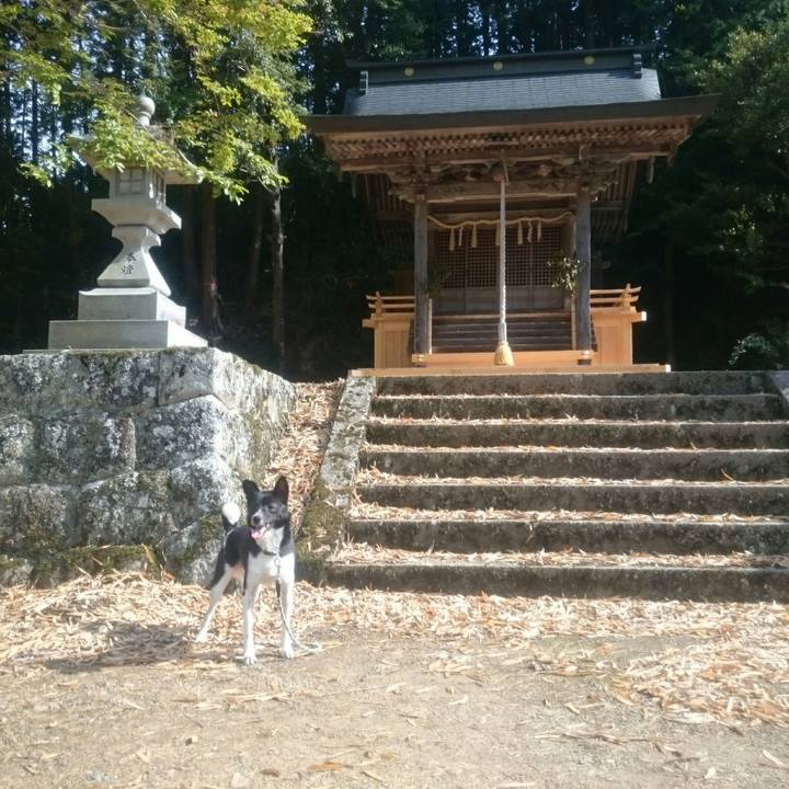 A18e2635 268b 4242 8084 d8672d3e0e21