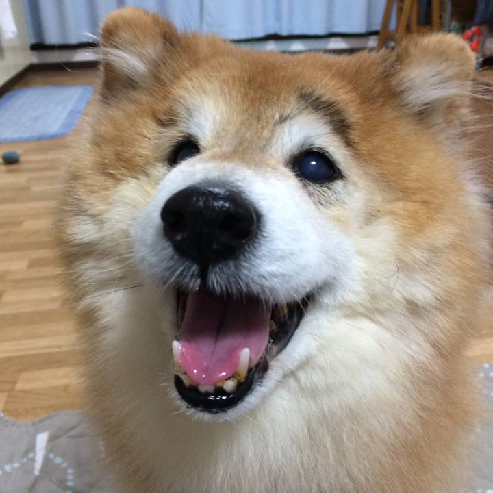 A18e2ca0 d543 4827 bc27 904841f77abe