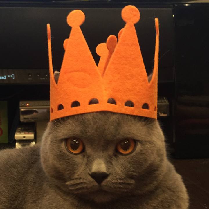 A18e54c7 65a9 4420 b7b2 8f180281e2f1