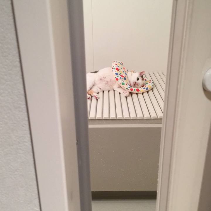 A18eb952 b7c8 407e 9e1a a16ae7216ef1