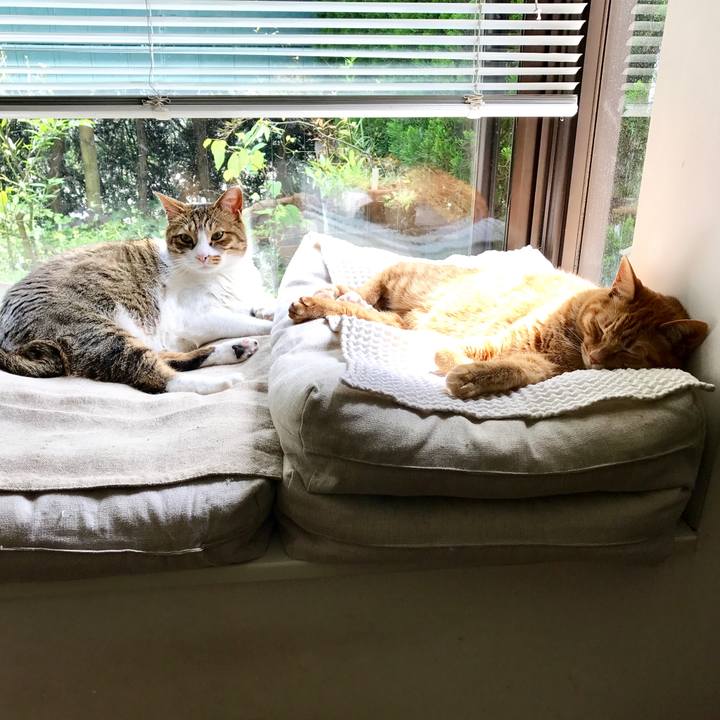 A18efe1e 46e5 48dc 8fe1 9517c48d693a