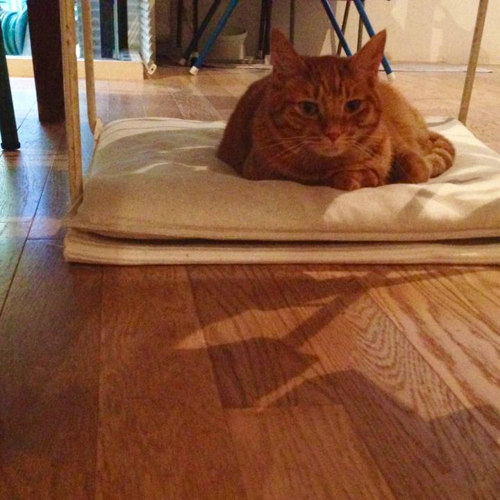 A18fd890 dfeb 492f b45b 06faaade572c