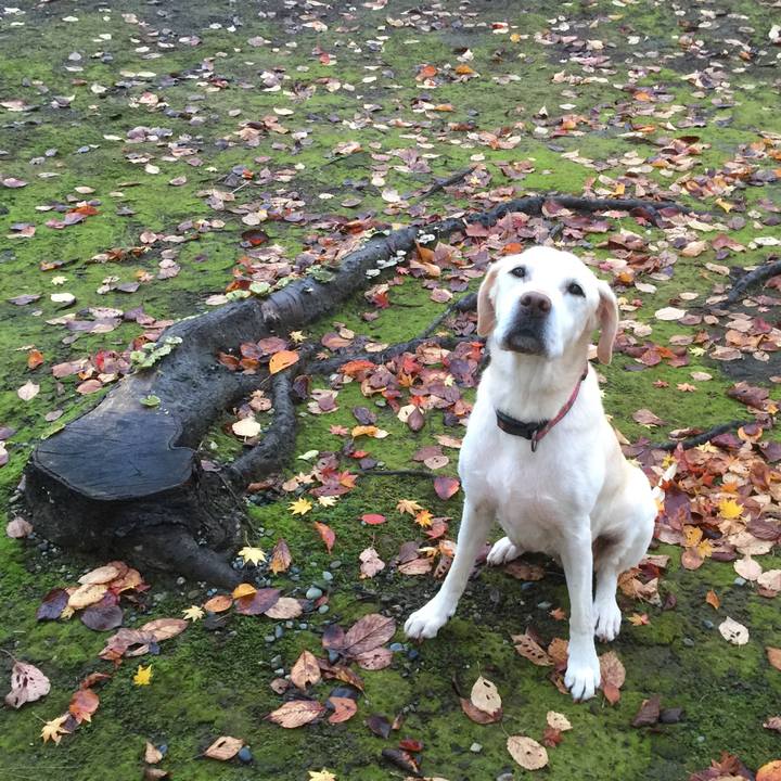 A1900de7 6970 468f b4e7 05582b28c50e