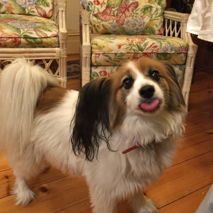 A1902527 7666 43d0 b3d0 3da843df913b