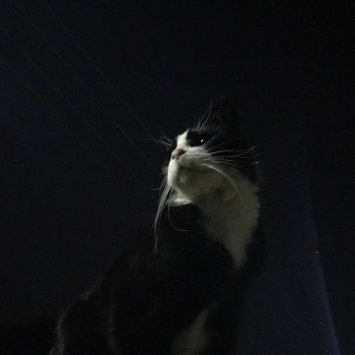 A190569b 48c4 4069 b135 f9307de20d97