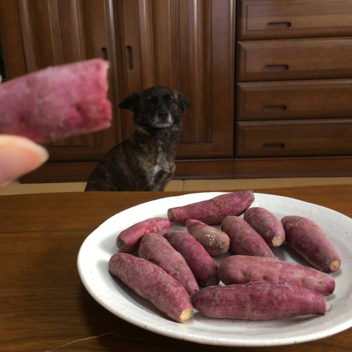 A1908c43 0530 49ca 9e3c 961aeb6b4018