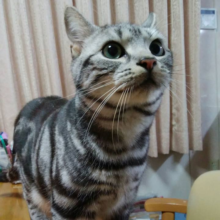 A190c76f 494a 489b 8c2e 709f3daa2a36