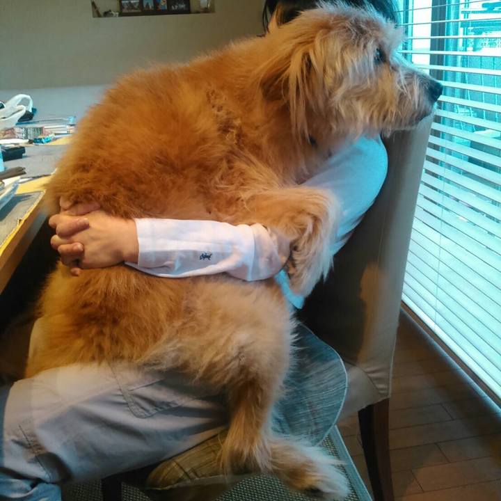 A19147c9 3f7c 4ae2 b01a af09cff4c583