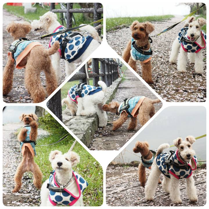 A1915b60 842d 4e6c a2e7 fc9880e21b56