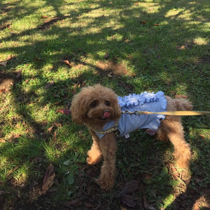 A1916b20 044b 43b7 afa0 38611fd3644f