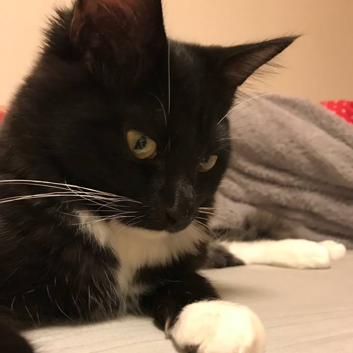 A1922414 ddd4 403c 80f4 ba9cd80407bc