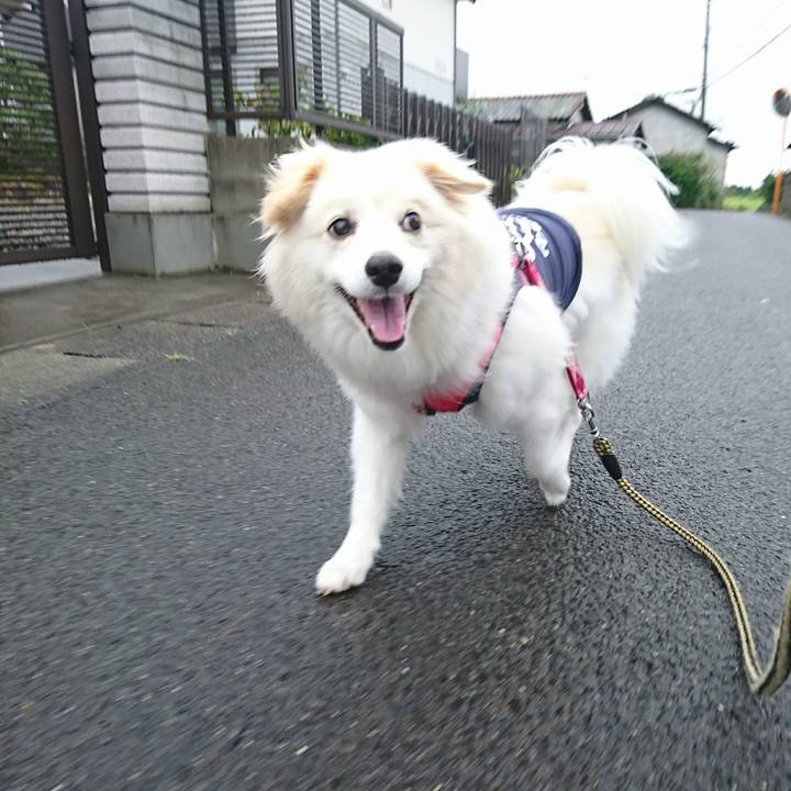 A19277bd 2b2d 4170 9242 1e3648e1e19c