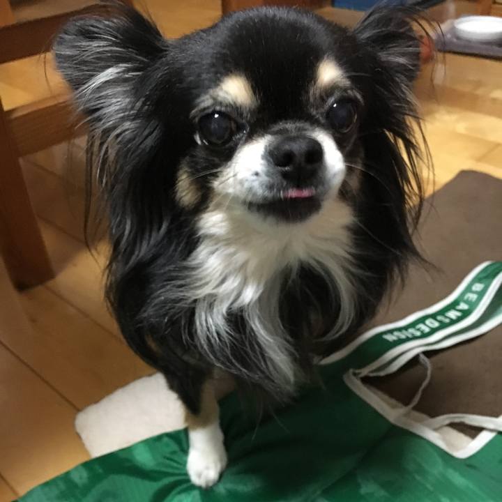 A19284bb 32e6 4bab 813a a1d7005abd55