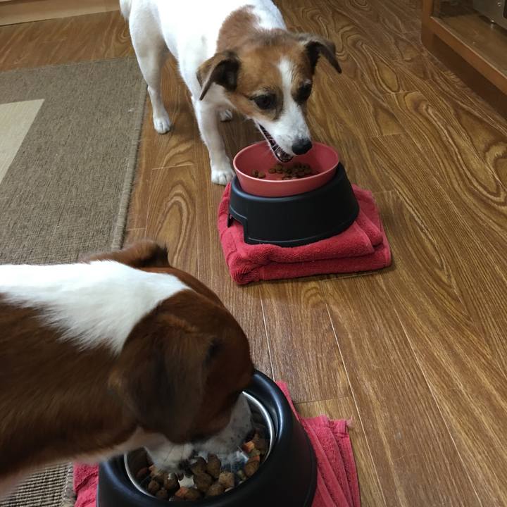 A1928a7b 3431 4ed5 8503 f0021688d95e