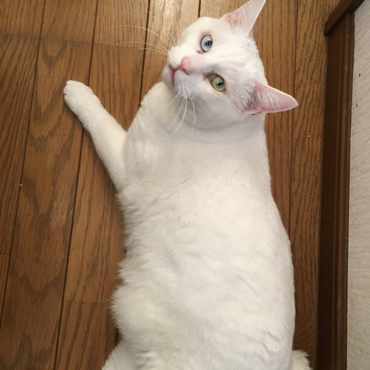 A192be69 575d 4365 9c82 a1ed03055844