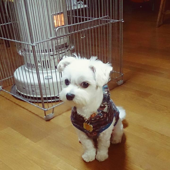 A192f055 31c4 4a0e b109 07a5346f7ad0