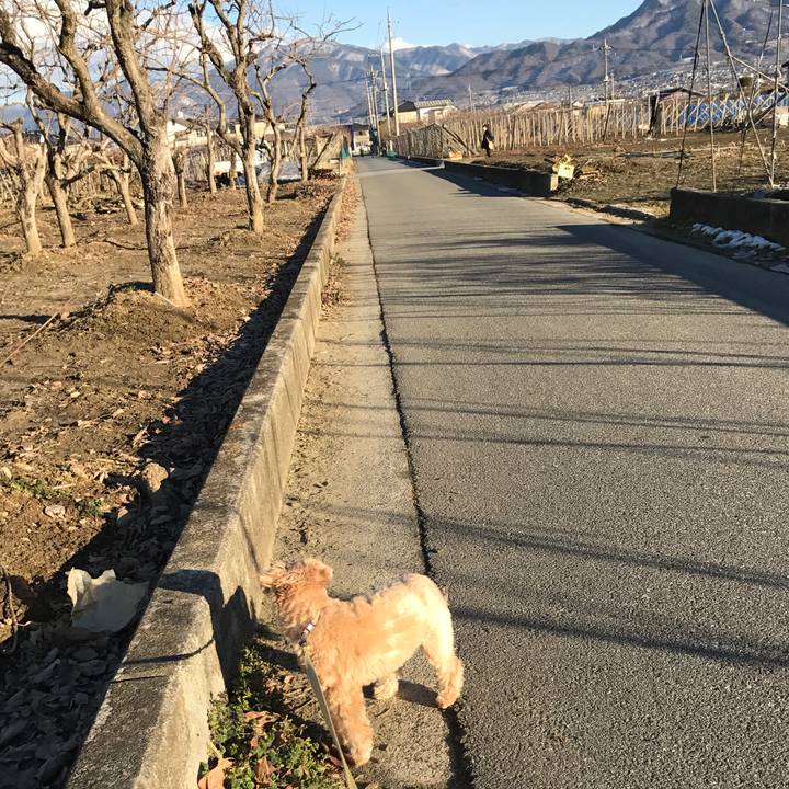 A1930814 d1b1 48e8 b0c0 62f0e39e892e