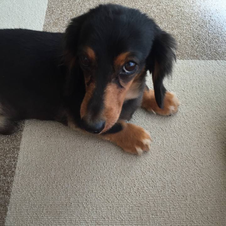 A1931489 7215 431d 889d 44bc2e4acf5c