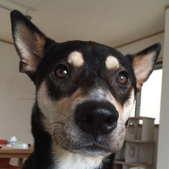 A1940b05 c88d 41a1 8804 a3b8a5e548a8