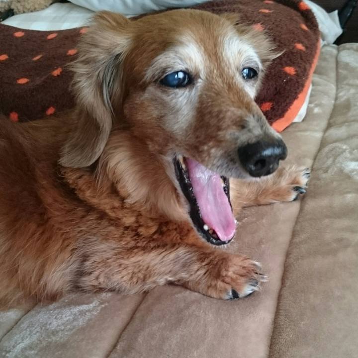 A1941499 ec0d 4e56 a97e 7d1cb6283ad8