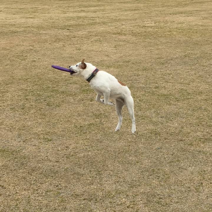 A1942ed7 fd5f 42c0 9df2 93b3bdde63fe