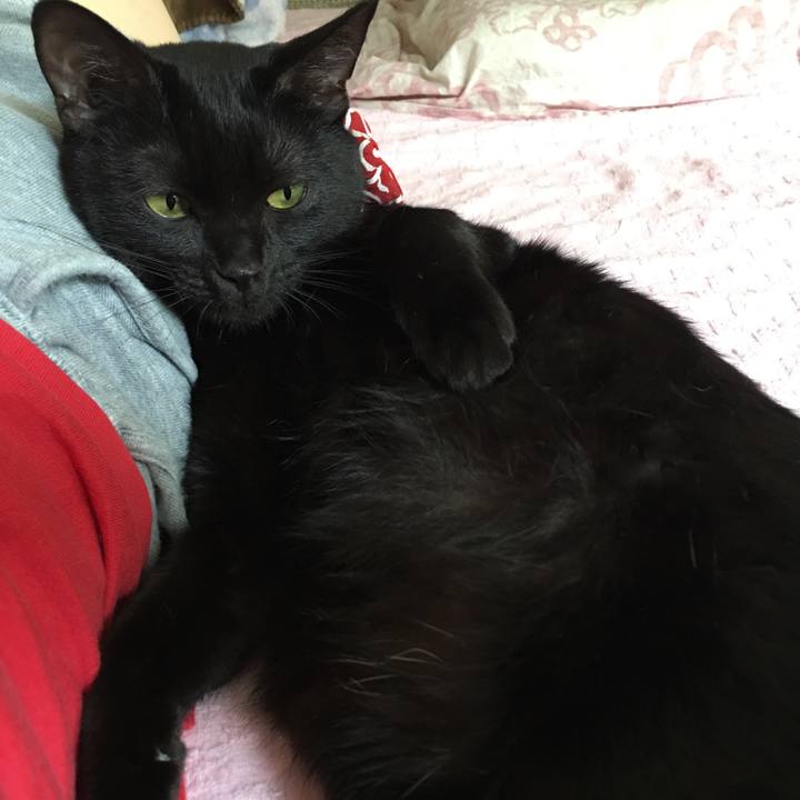 A1947376 cb50 4211 ba7f 033db9021562