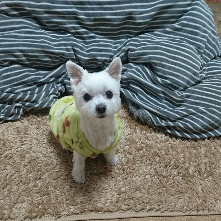 A19480eb 7ddb 44c2 8394 db6329a600b2