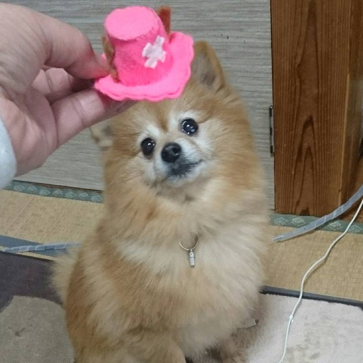 A19487c5 3166 4962 84fd 6a63f25a12b0