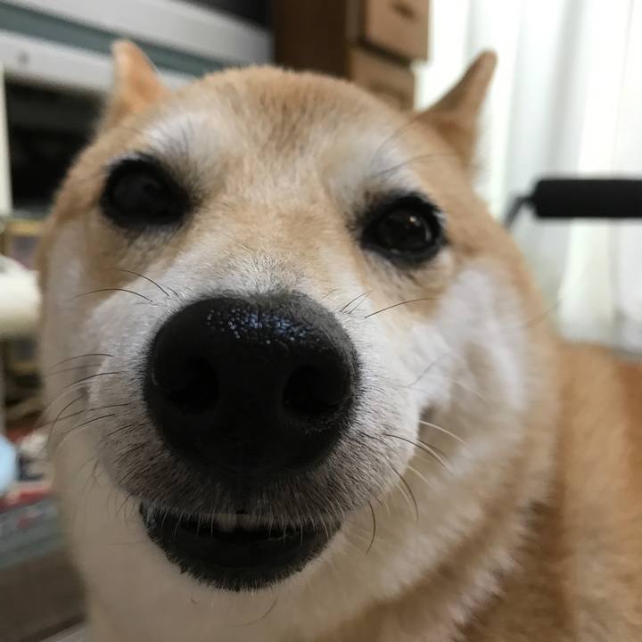 A194d9ac b6ce 4df9 8a76 c78916d72500