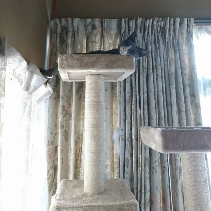 A1954bfc d496 4ef0 9f35 a5b2c5ff89f7