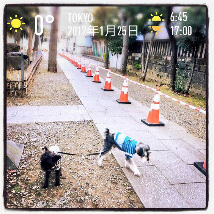 A1957758 93fe 4518 9244 c2d57d393536