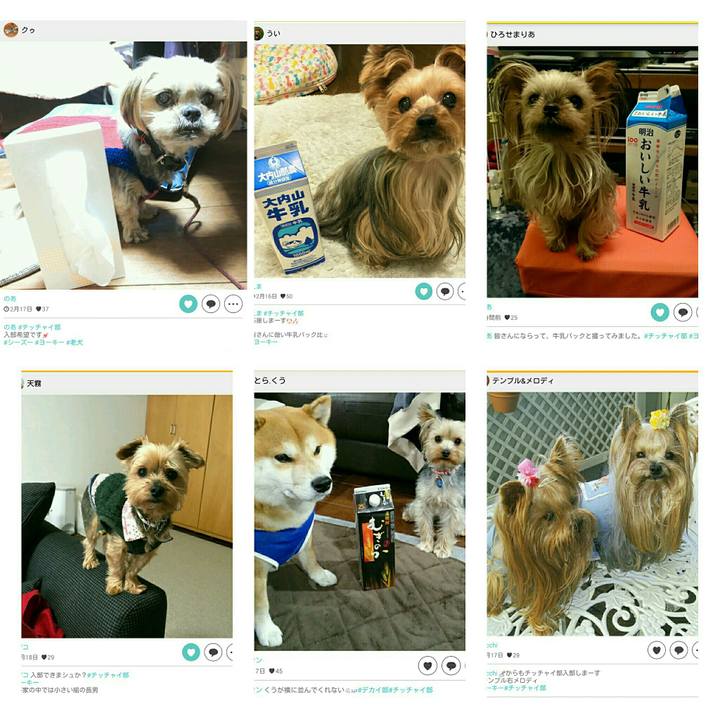 A1957eaf ebd1 4e9a adc5 458426dfa951